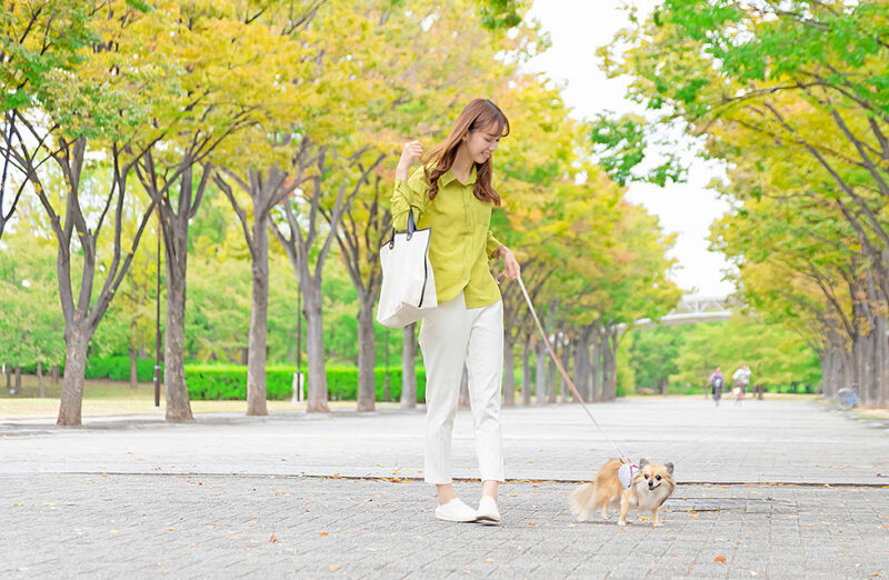 公園で散歩する女性