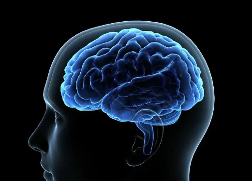 習慣形成の仕組み