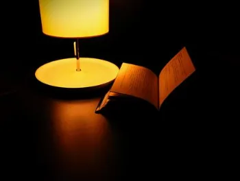 夜の読書