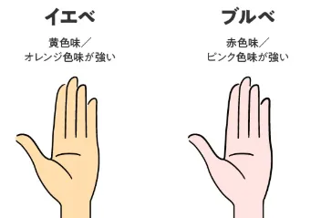 「イエローベース(イエベ)」と「ブルーベース(ブルベ)」