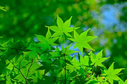 若々しさと大人らしさ