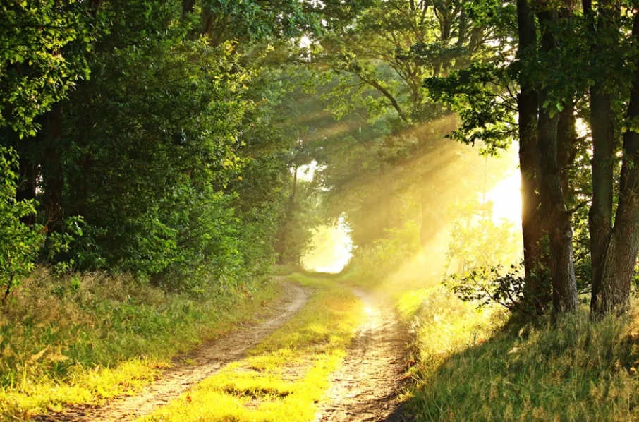 モーニング・セット