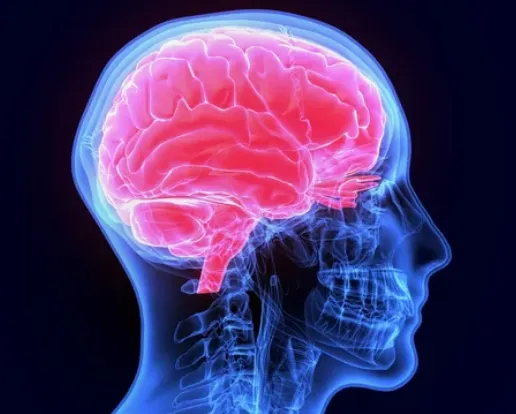 ②魅力的な異性に脳は本能で身構えるから