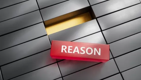 理由